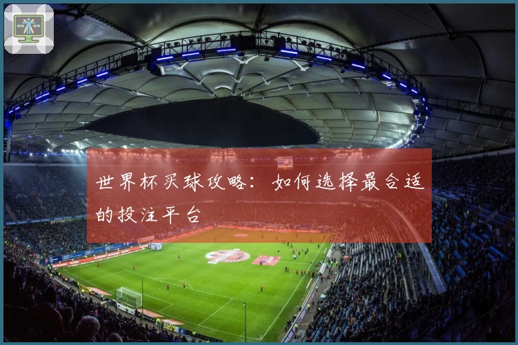 世界杯买球攻略：如何选择最合适的投注平台
