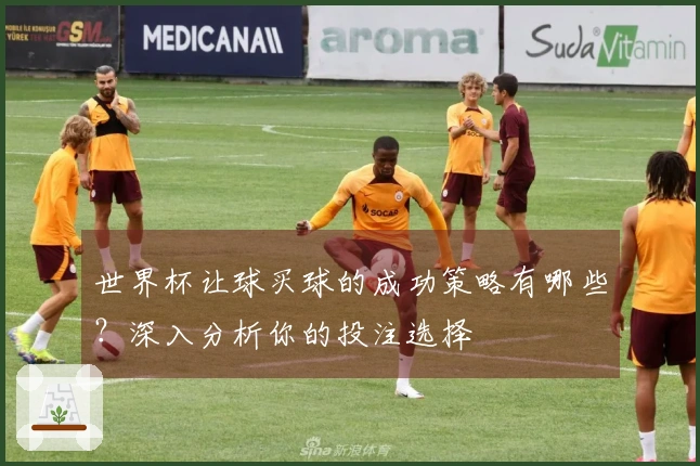 世界杯让球买球的成功策略有哪些？深入分析你的投注选择