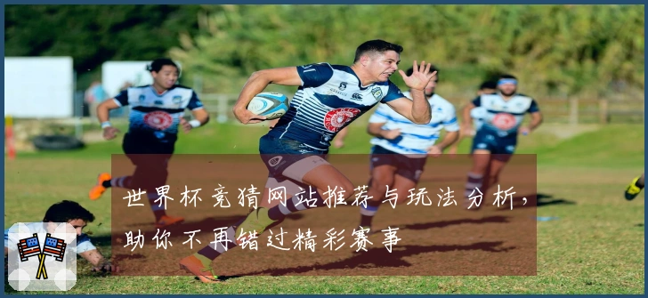 世界杯竞猜网站推荐与玩法分析，助你不再错过精彩赛事