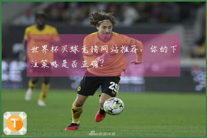世界杯买球竞猜网站推荐，你的下注策略是否正确？
