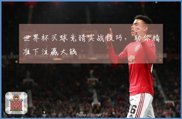 世界杯买球竞猜实战技巧，助你精准下注赢大钱