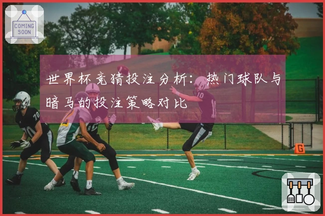 世界杯竞猜投注分析：热门球队与暗马的投注策略对比