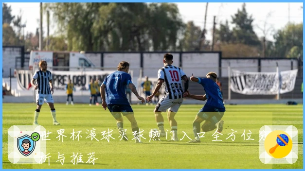 世界杯滚球买球热门入口全方位分析与推荐