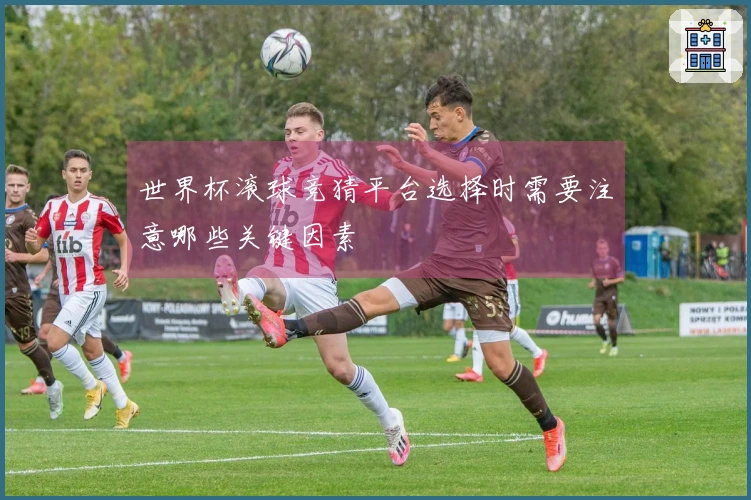 世界杯滚球竞猜平台选择时需要注意哪些关键因素