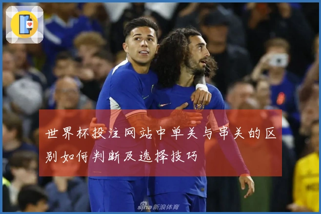 世界杯投注网站中单关与串关的区别如何判断及选择技巧