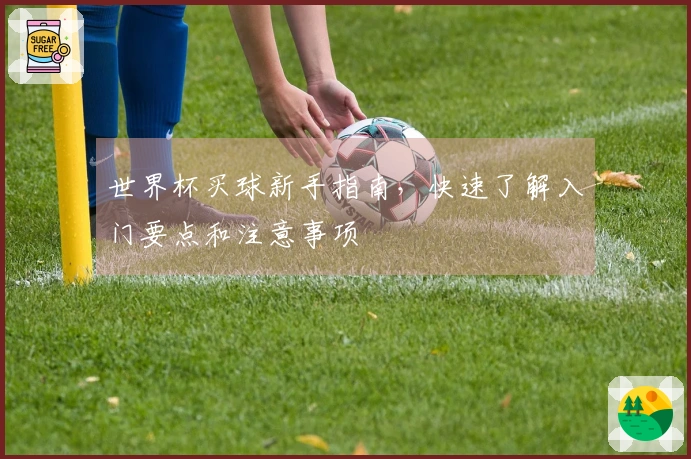 世界杯买球新手指南，快速了解入门要点和注意事项