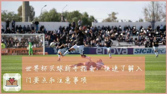 世界杯买球新手指南，快速了解入门要点和注意事项
