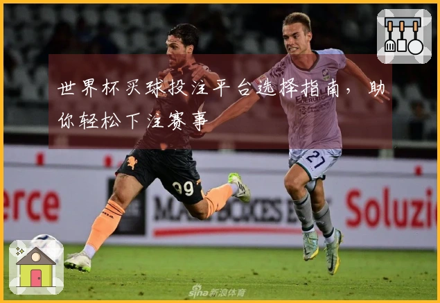 世界杯买球投注平台选择指南，助你轻松下注赛事