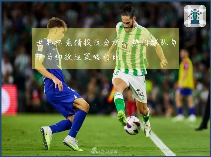 世界杯竞猜投注分析：热门球队与暗马的投注策略对比