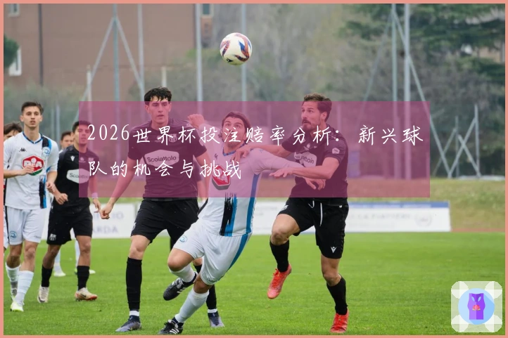 2026世界杯投注赔率分析：新兴球队的机会与挑战
