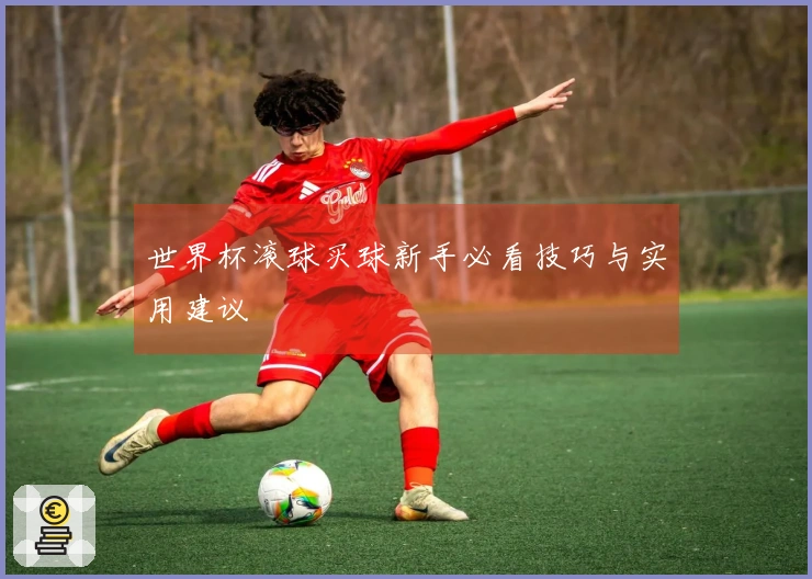世界杯滚球买球新手必看技巧与实用建议