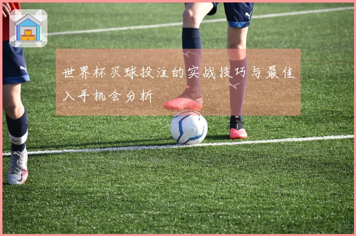 世界杯买球投注的实战技巧与最佳入手机会分析