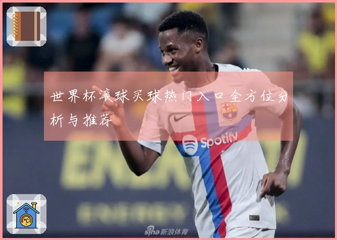 世界杯滚球买球热门入口全方位分析与推荐