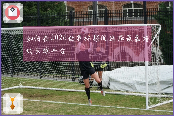 如何在2026世界杯期间选择最靠谱的买球平台