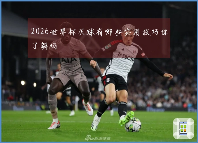 2026世界杯买球有哪些实用技巧你了解吗